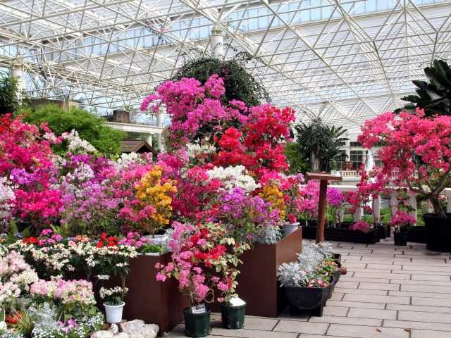 フラワーパークかごしま