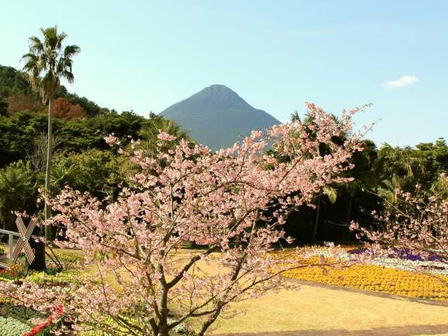 フラワーパークかごしま
