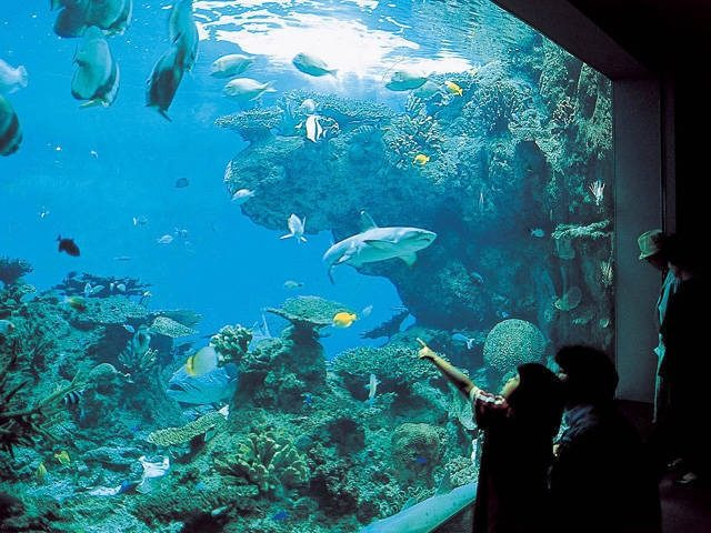 いおワールドかごしま水族館