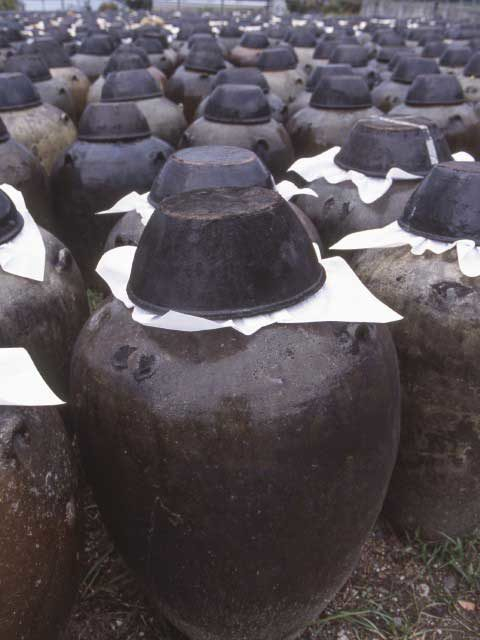 坂元のくろず「壺畑」情報館&レストラン