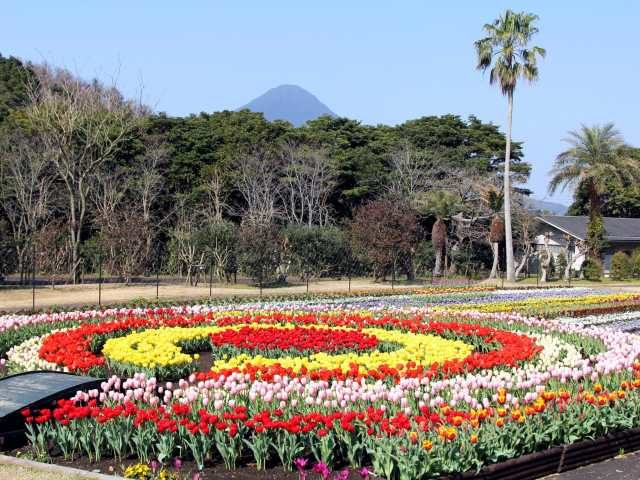 フラワーパークかごしま