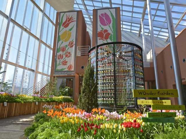 チューリップ四季彩館