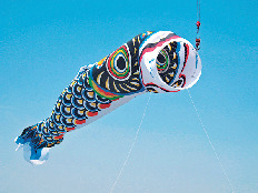 【埼玉×春のおでかけスポット】雄々しい姿にひきつけられる「ジャンボこいのぼり遊泳」(加須市)