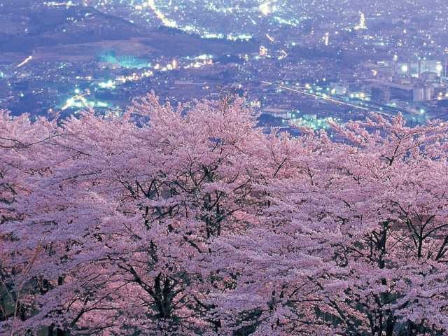 【埼玉×春のおでかけスポット】まるで別世界にいるような美しい光景にうっとり「美の山公園」(秩父市・皆野町)