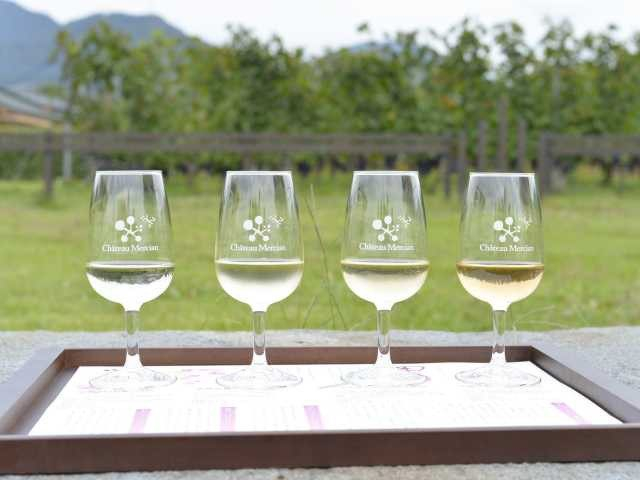 シャトー・メルシャン 勝沼ワイナリー