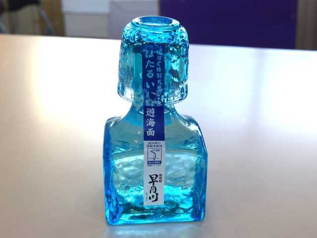 ほたるいかミュージアム