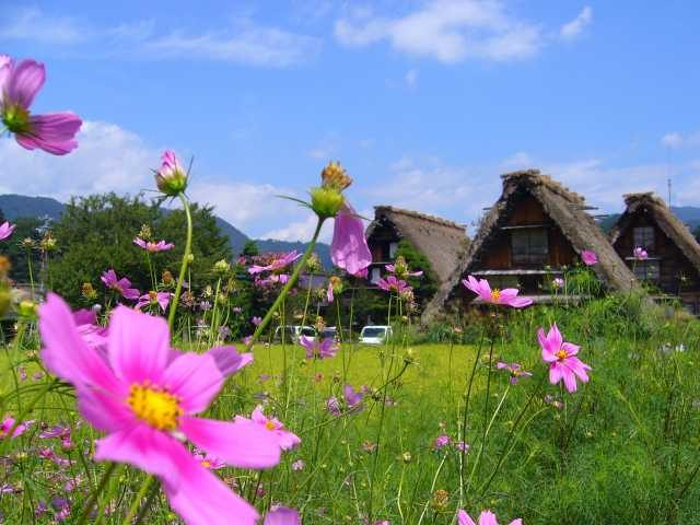 相倉合掌造り集落