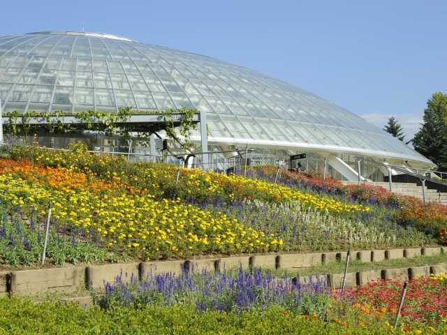 笛吹川フルーツ公園