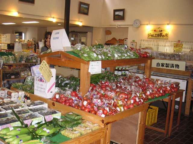 道の駅 こぶちさわ