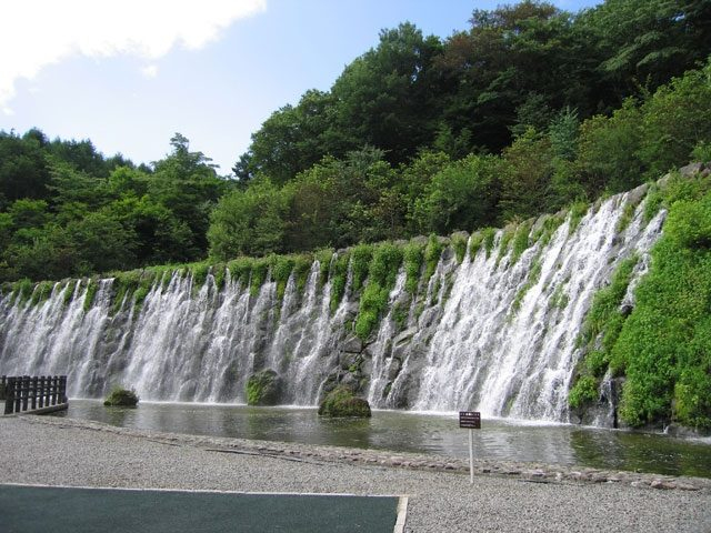 山中湖 花の都公園