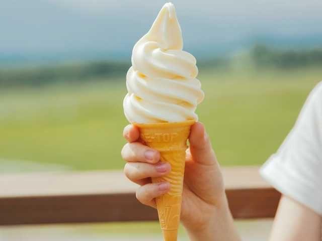 清泉寮ジャージーハット