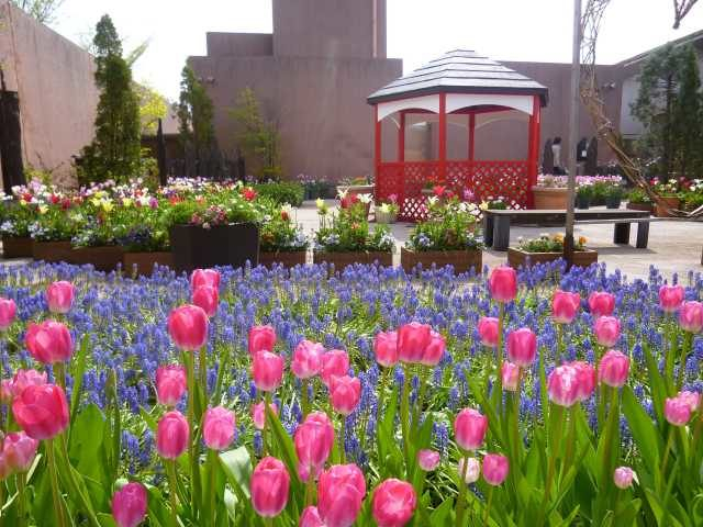 チューリップ四季彩館
