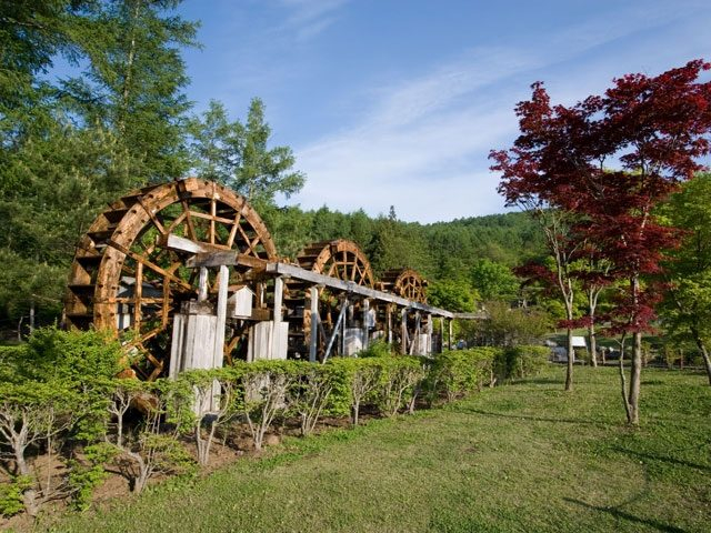 山中湖 花の都公園