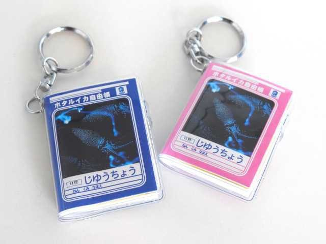 ほたるいかミュージアム