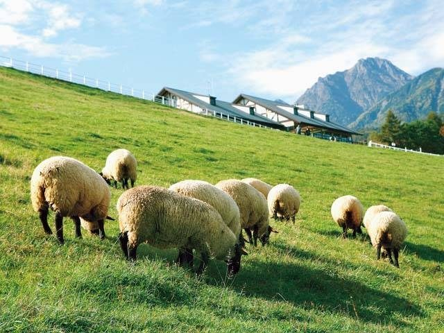 山梨県立まきば公園