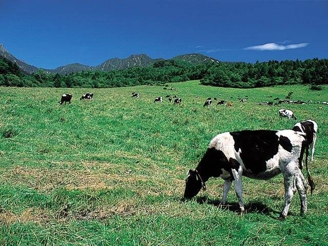 山梨県立まきば公園
