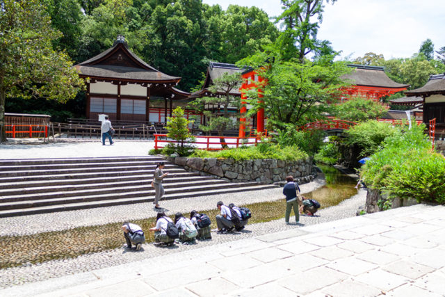 水に浮かべる「水みくじ」