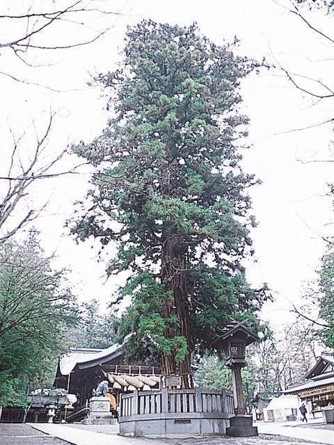 諏訪大社下社秋宮