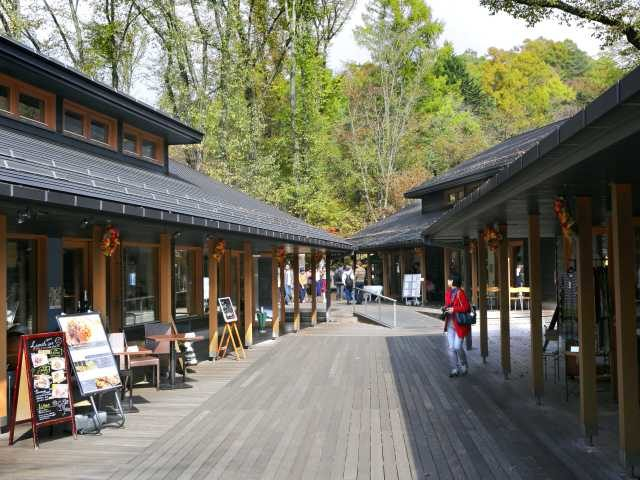 ハルニレテラス