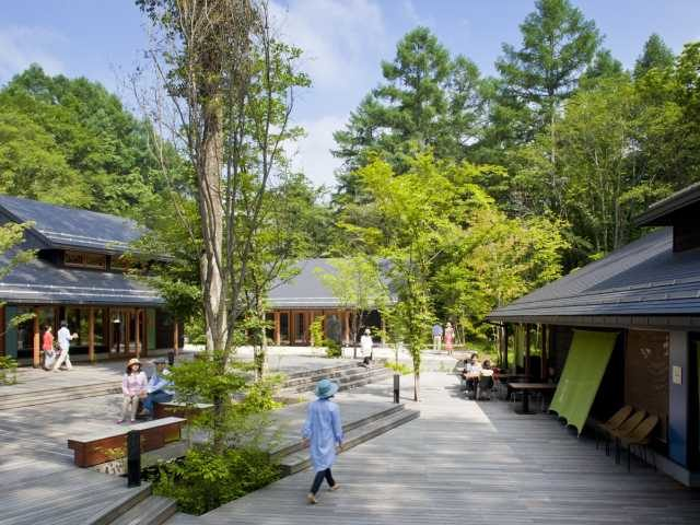 ハルニレテラス