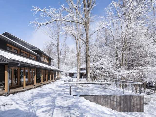 ハルニレテラス