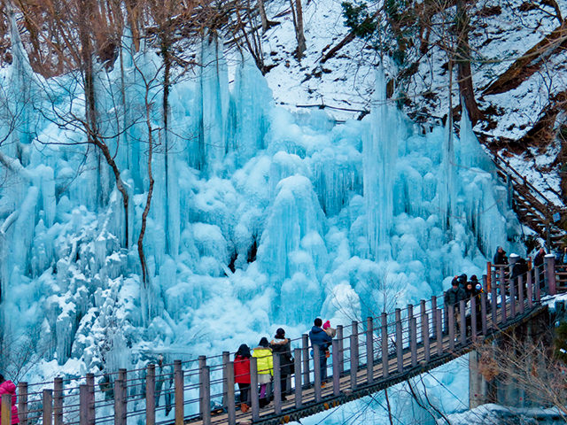 尾ノ内百景(冷っけぇ~)氷柱(小鹿野町)