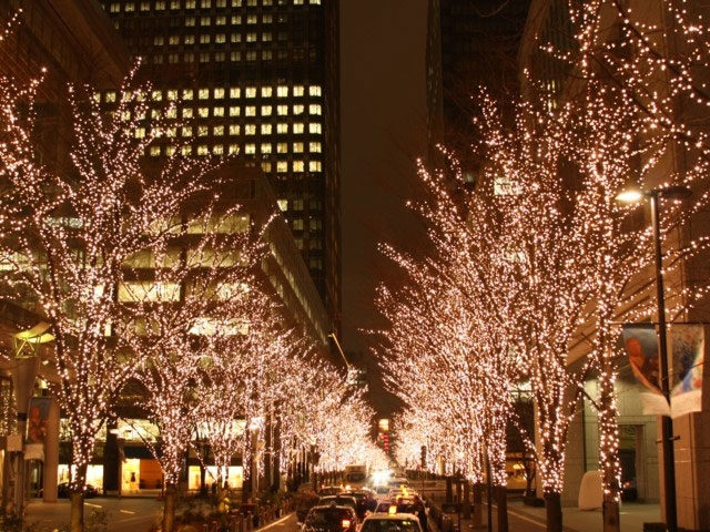 丸の内側⑥:丸の内仲通り