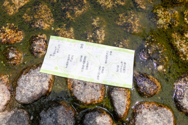 水に浮かべる「水みくじ」