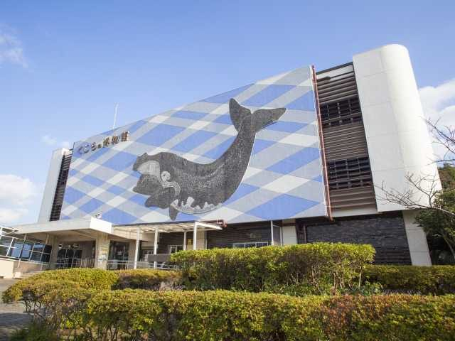 太地町立くじらの博物館