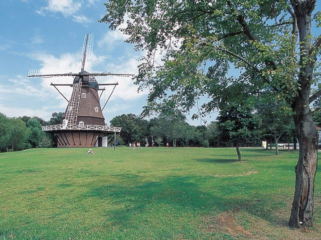 ⑦幕張・船橋・柏エリア
