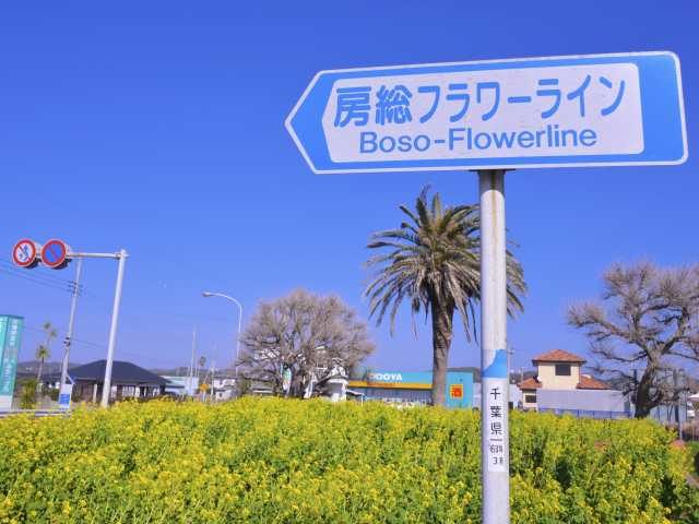 房総フラワーライン