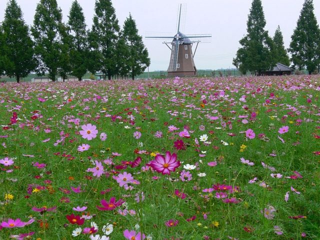 あけぼの山農業公園