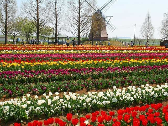 あけぼの山農業公園