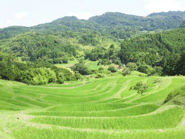 ②鴨川・勝浦・御宿エリア
