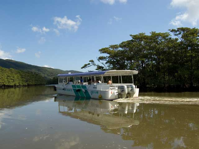 仲間川マングローブクルーズ