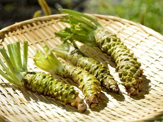 大王わさび農場