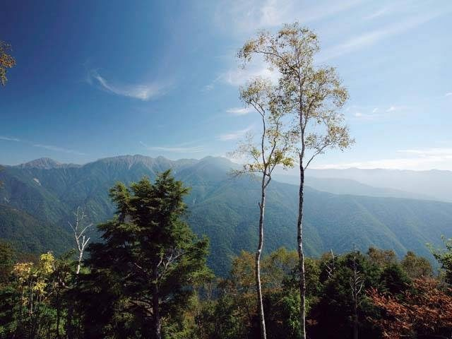しらびそ高原 天の川