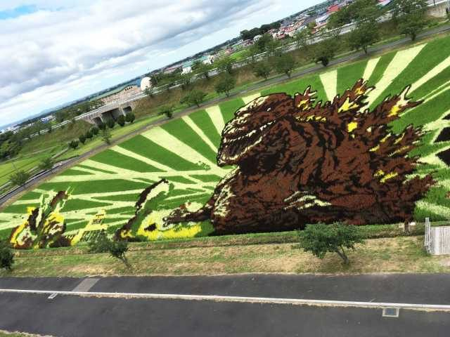 【青森観光おすすめの観光スポット】田舎館村田んぼアート
