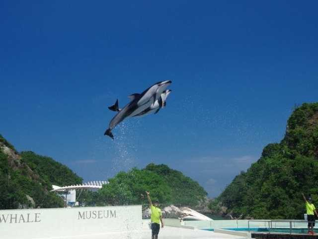 太地町立くじらの博物館