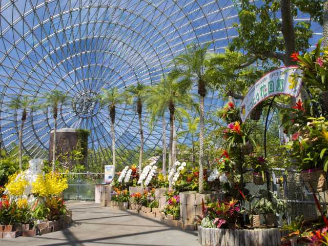 とっとり花回廊