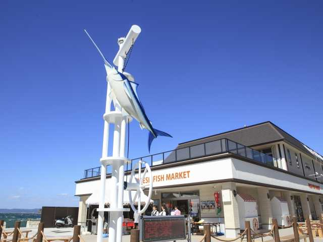 フィッシャーマンズワーフ白浜