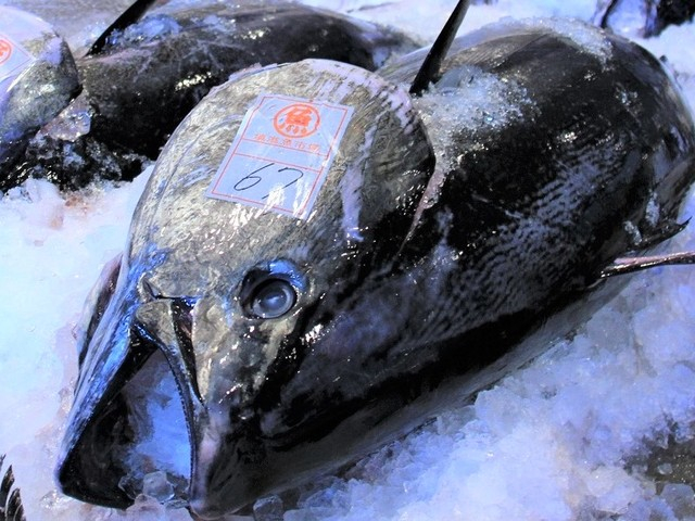 境港水産物直売センター