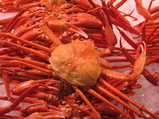 境港水産物直売センター