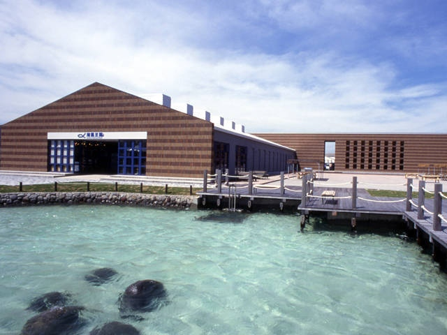 道の駅 ちくら・潮風王国