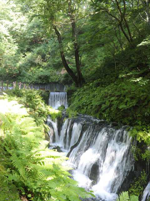 白糸の滝