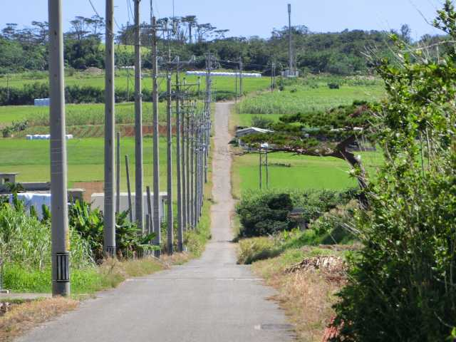 シュガーロード