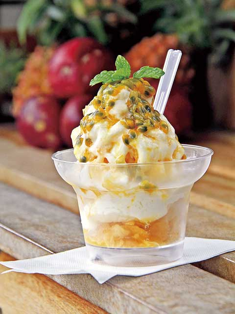 ハウトゥリージェラート