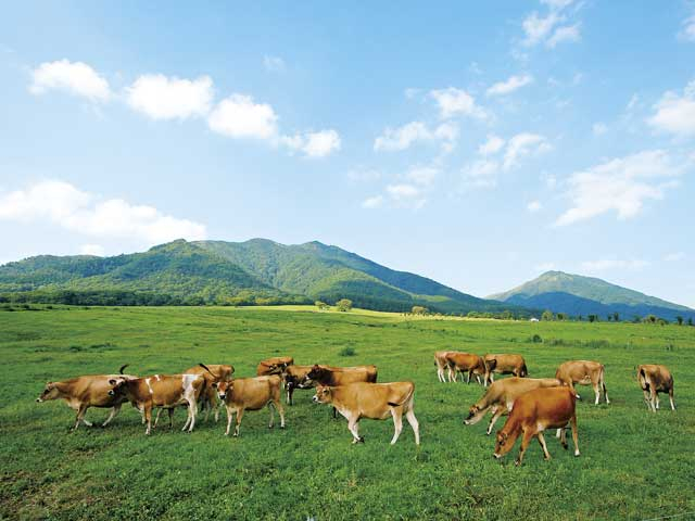 ひるぜんジャージーランド