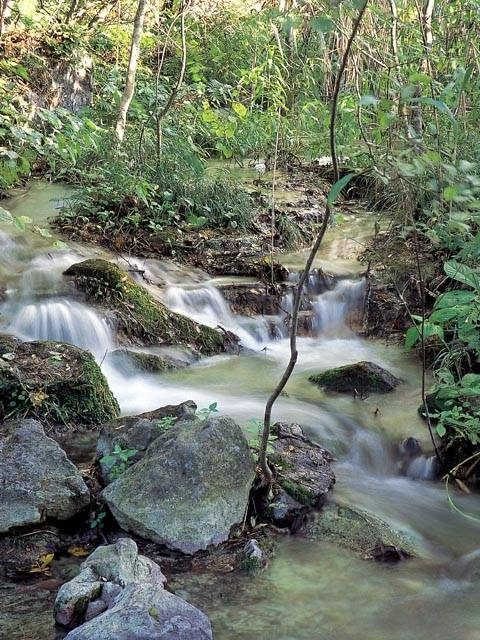 五色沼自然探勝路