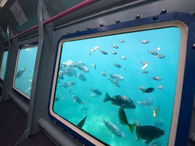 マリンパル呼子